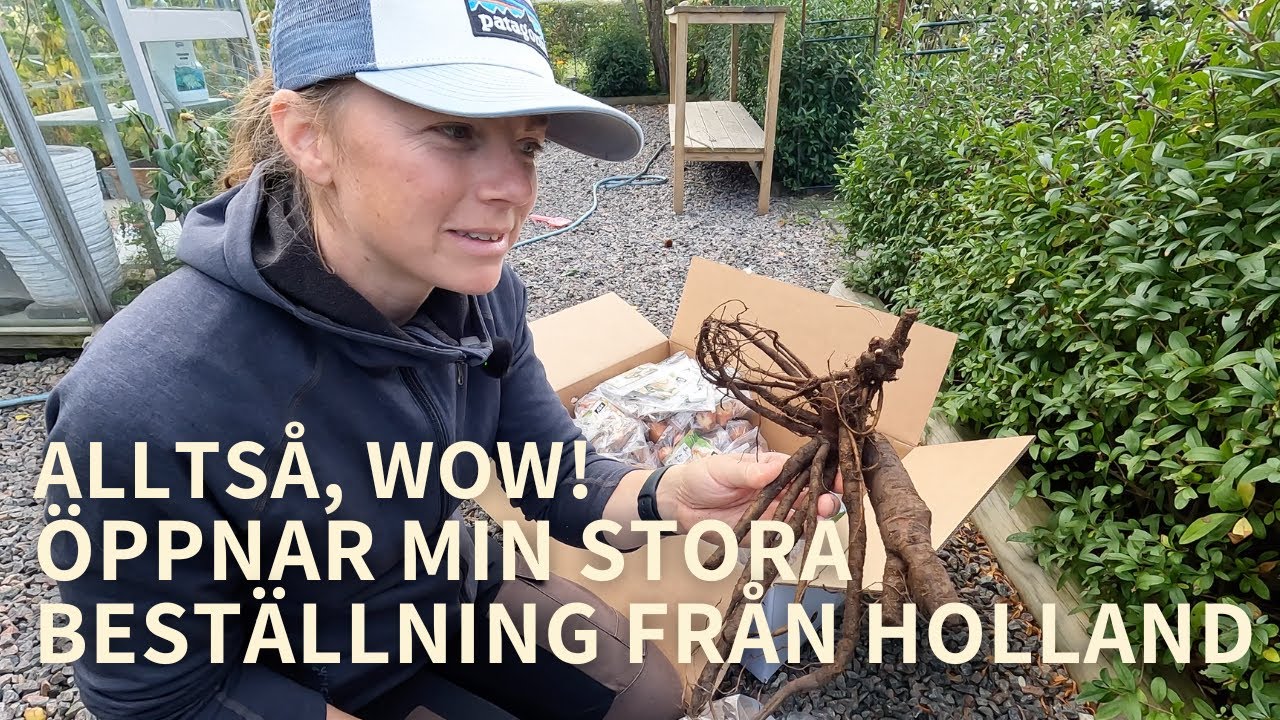 Barrotade pioner, m&auml;ngder av l&ouml;kar, pumpor & bifftomater 🤷🏼&zwj;♀️