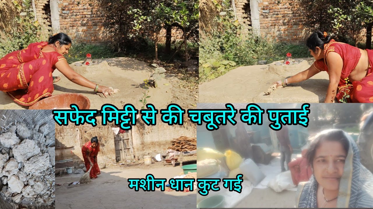 सफेद मिट्टी से की चबूतरे की पुताई धान कुट गई #ganvkilifestyle #youtubevlog #deliyvlog 