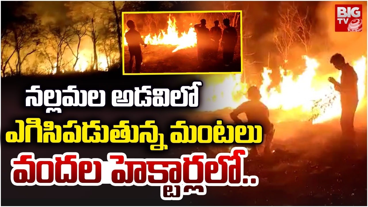 నల్లమల అడవిలో ఎగిసిపడుతున్న మంటలు | Massive Fire Incident in Nallamala Forest | NagarKurnool | BIGTV