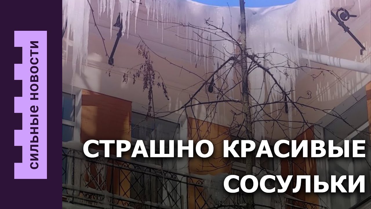 Странная хурма в Гомеле / огромные сосульки на зданиях / рекордная зарплата в Беларуси
