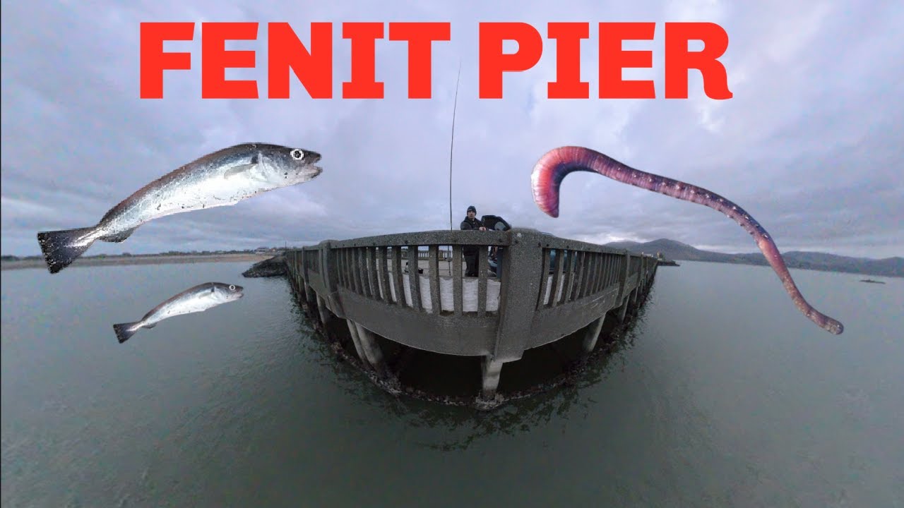 Irish Coastal Fishing | Whiting at Fenit Pier & Some Beach Catches!