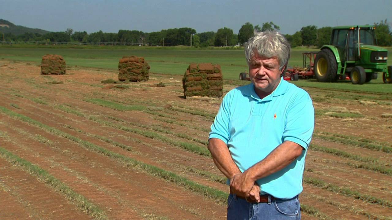 Easton Sod Farm