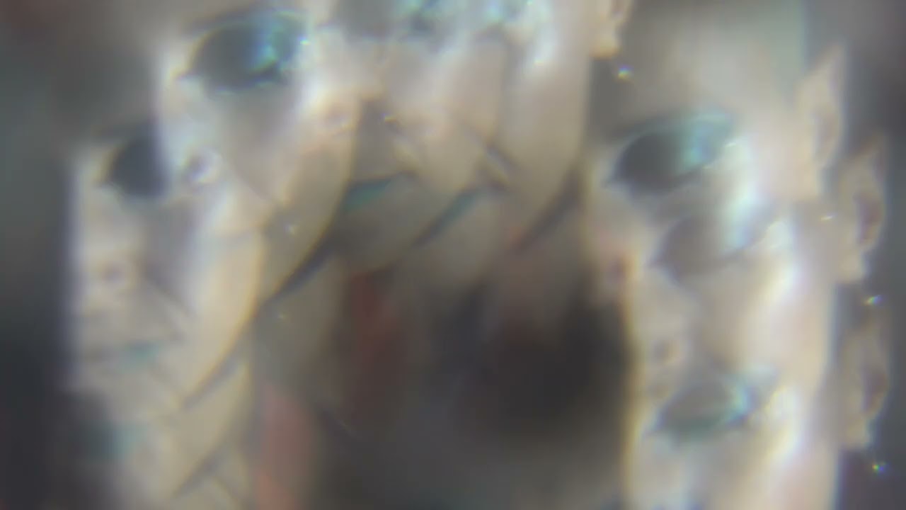 CIRQUE D'ESS - Caustic (Official Video, premiered on @Communionafterdarkradio )