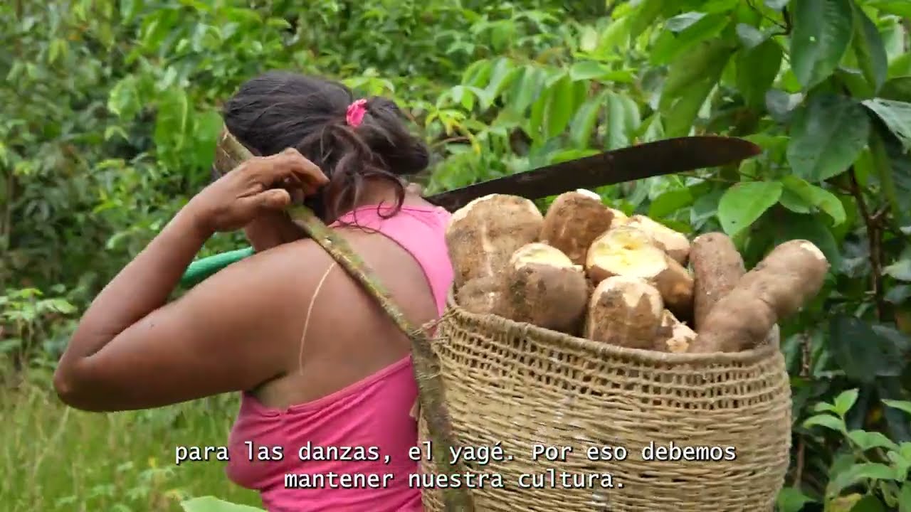 Takaka avistando las simbologías propias - Parte 1. Constelaciones
