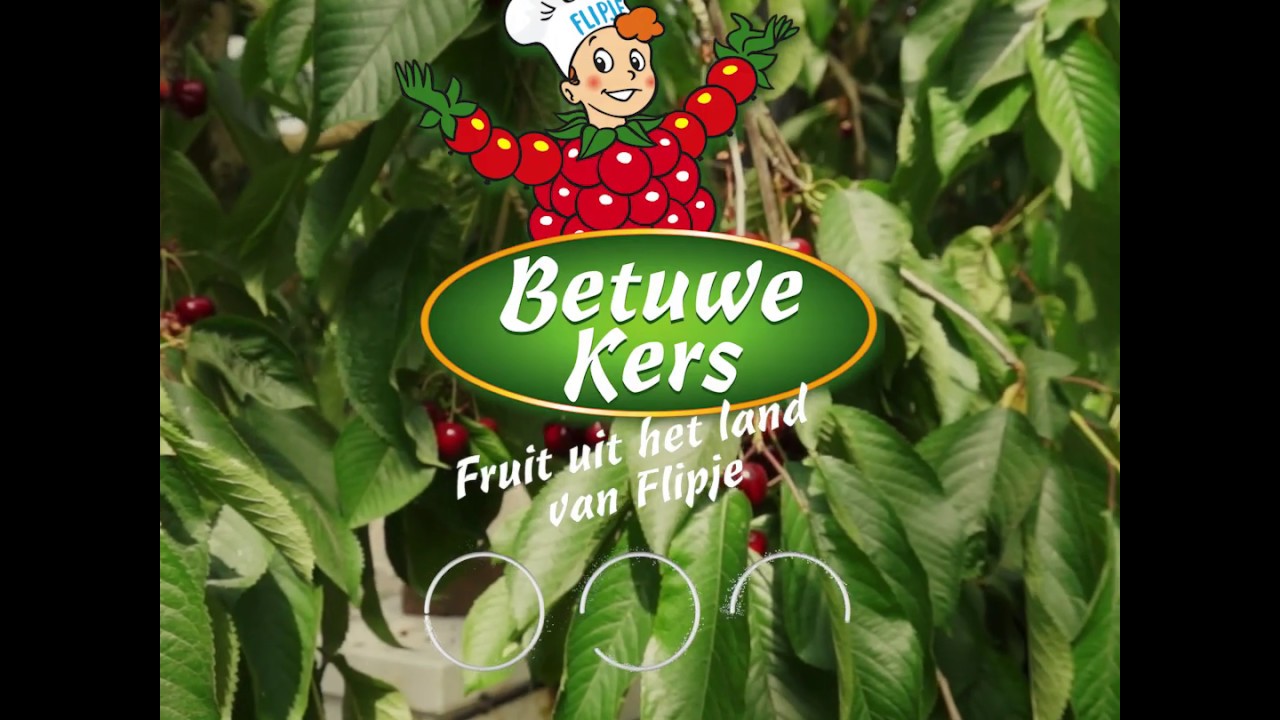 Betuwe Kers, Fruit uit het land van Flipje