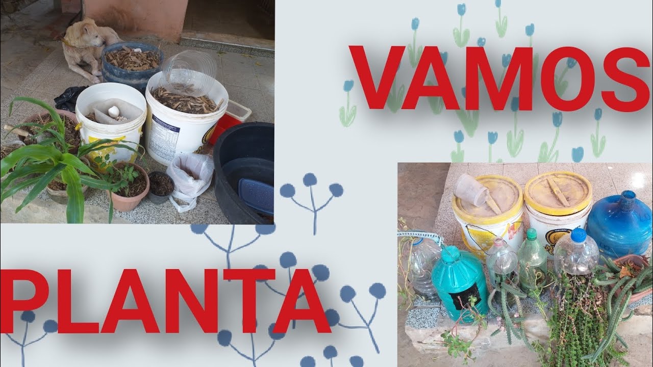 🌻ESPERO QUE GOSTEM DE MECHER NA TERRA🌻