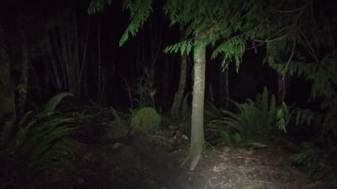 Feb Night Biking 2026