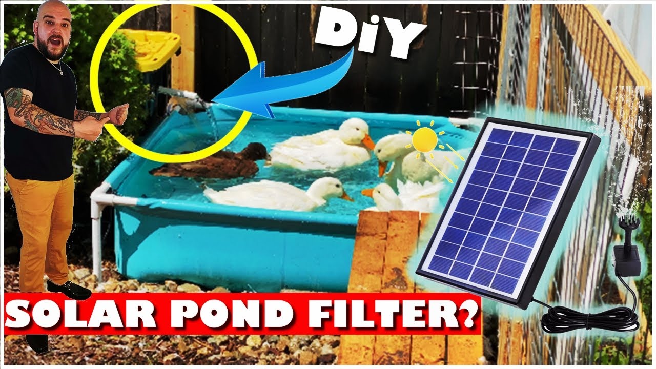 DIY SOLAR Powered POND FILTER? (For Fish Ducks or Turtles)