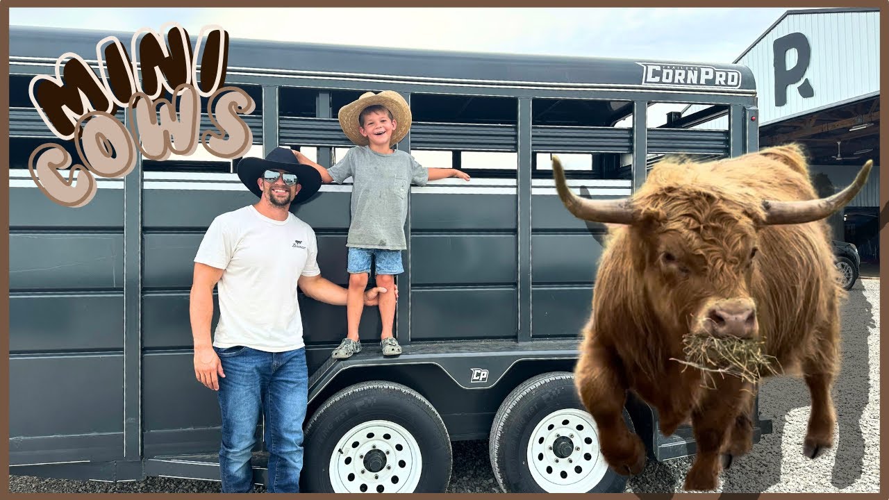 Little Cowboy Brings Home Mini Cow! PANDAROSA RANCH/MINIATURE ANIMALS/LIVESTOCK AUCTION/FARM KIDS