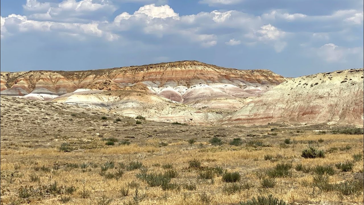 Red Gulch Dinosaur Track Site, Wyoming