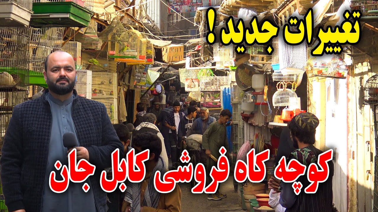 گزارش فردین عبدی از تغییرات بی سابقه در کوچه کاه فروشی کابل جان