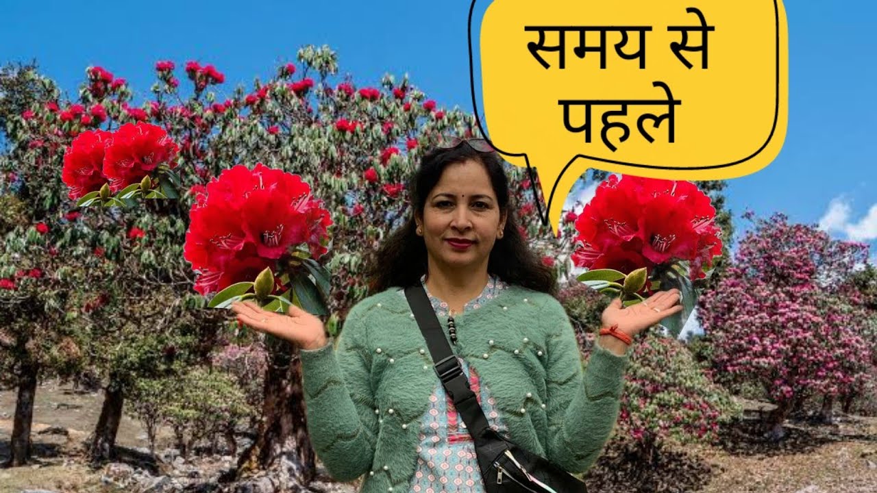 भटवाड़ी का एक सुंदर सा गांव पाही || चंदोमती माता के भव्य दर्शन || Pahadi Lifestyle Vlog || Vlog 77