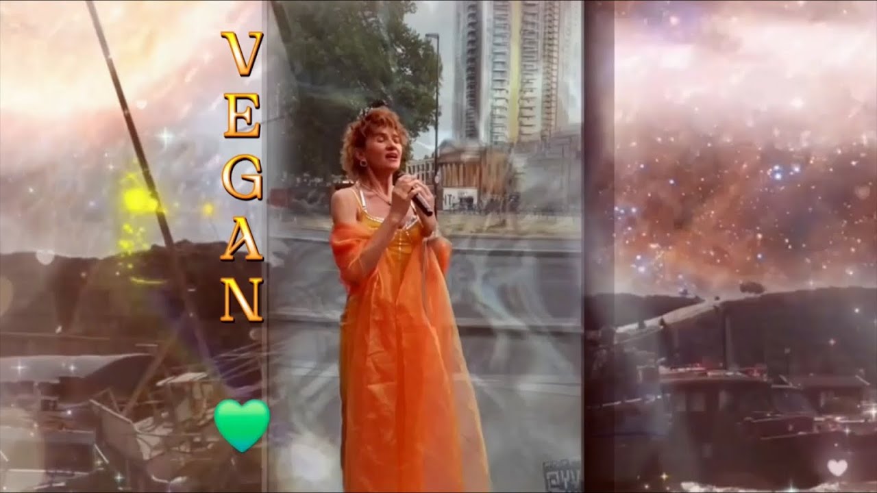 Dziekuje, Shamsan (Oficjalna Premiera) 💚✔️
