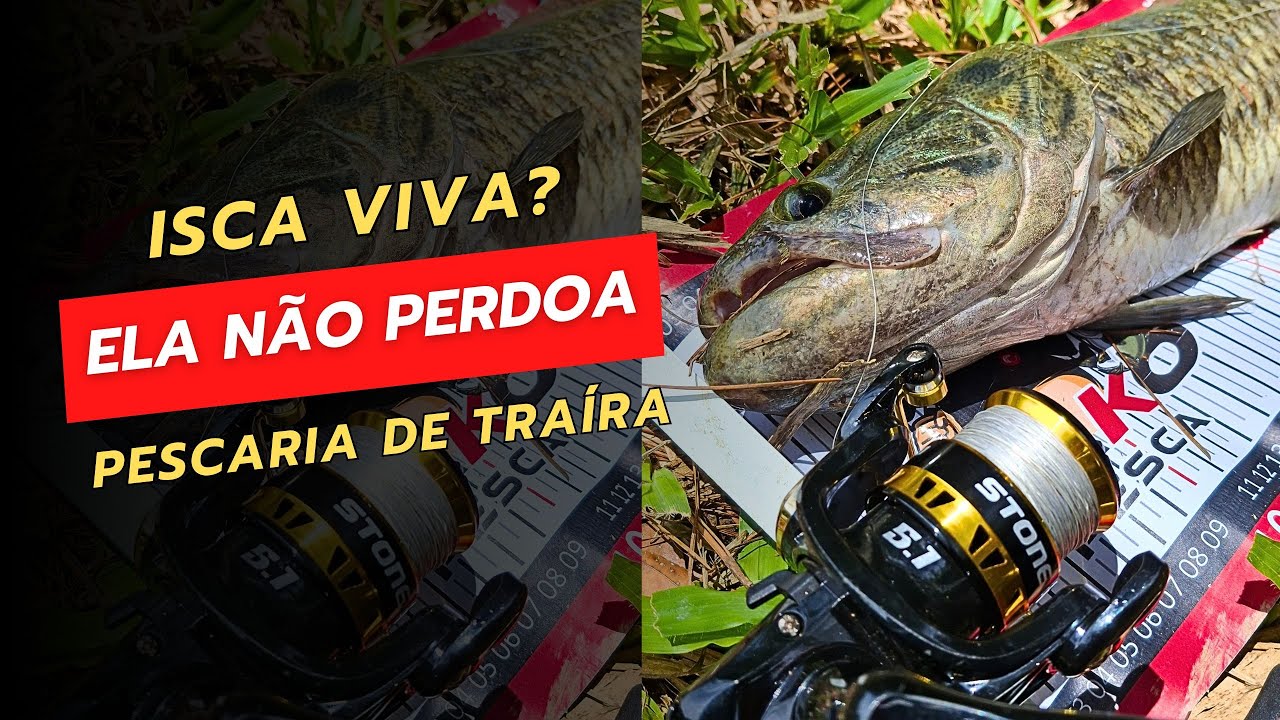 Pescando Traíra com Isca Viva… O Resultado Foi SURPREENDENTE