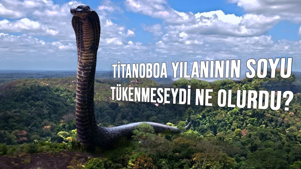 Titanoboa Yılanının Nesli T&uuml;kenmeseydi, Biz İnsanlara Ne Olurdu?