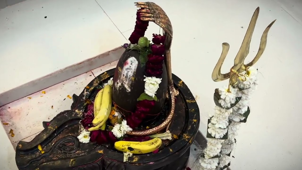 #youtubeshorts #army #harharmahadevॐ 