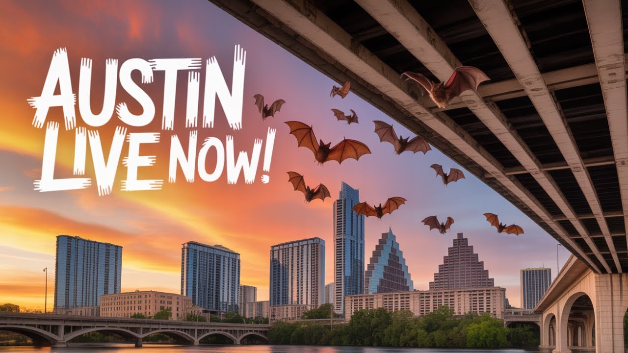 Live From Austin Texas USA 🇺🇸 🙌 ✨️