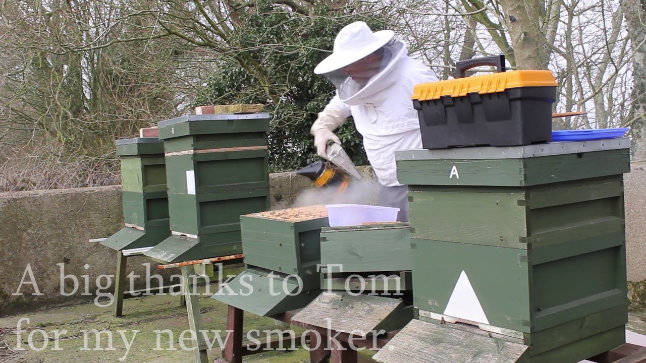 Beekeeping uk spring build up part 2