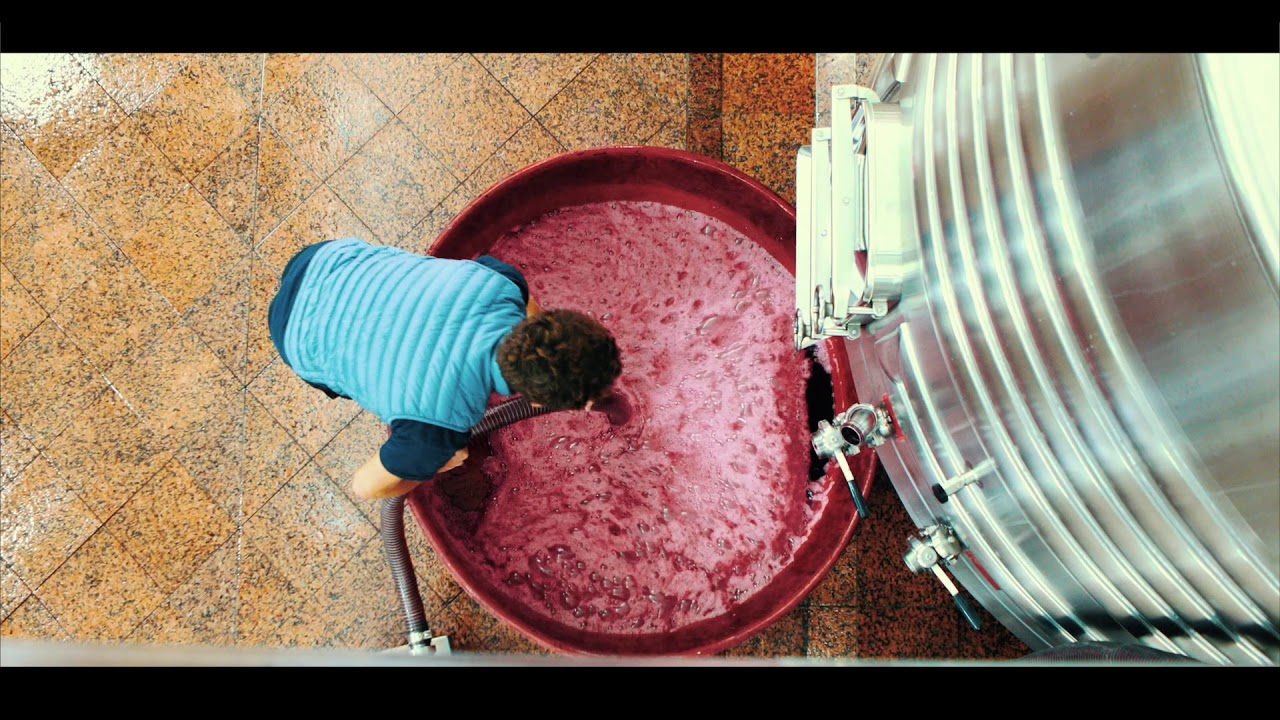 Domaines Delon   Château Nénin