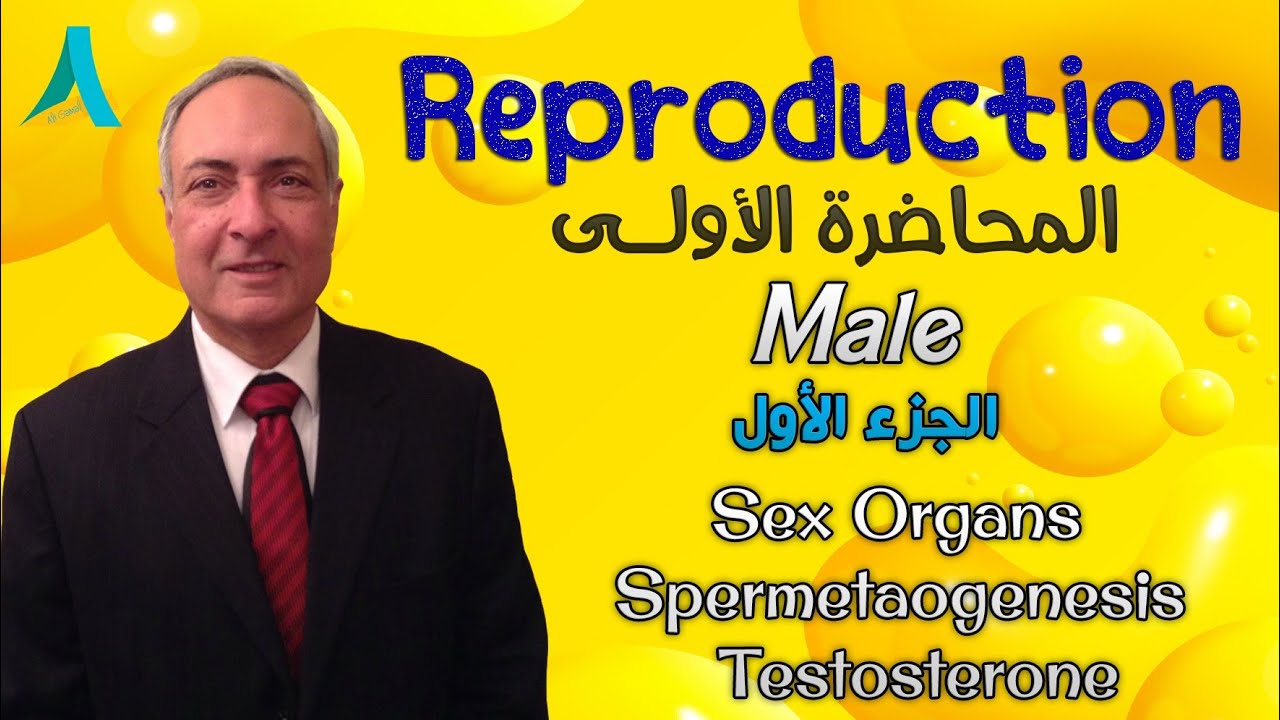 Dr.Nagi - Live Physiology - Lecture 113 - Male (1) - Sex Organs , Spermatogenesis & Testosterone