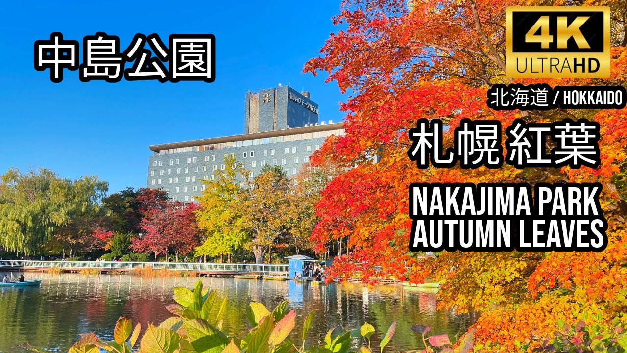 [Hokkaido] 札幌 中島公園 紅葉🍁🇯🇵Nakajima Park Autumn Leaves