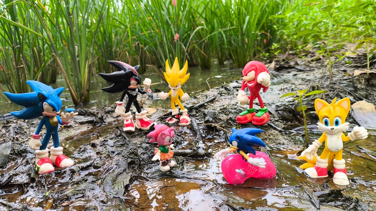 Sonic Hunter | Sonic Hedgehog | Knuckles | Tails | Super Sonic | Sonic Shadow | Metal Sonic | Amy