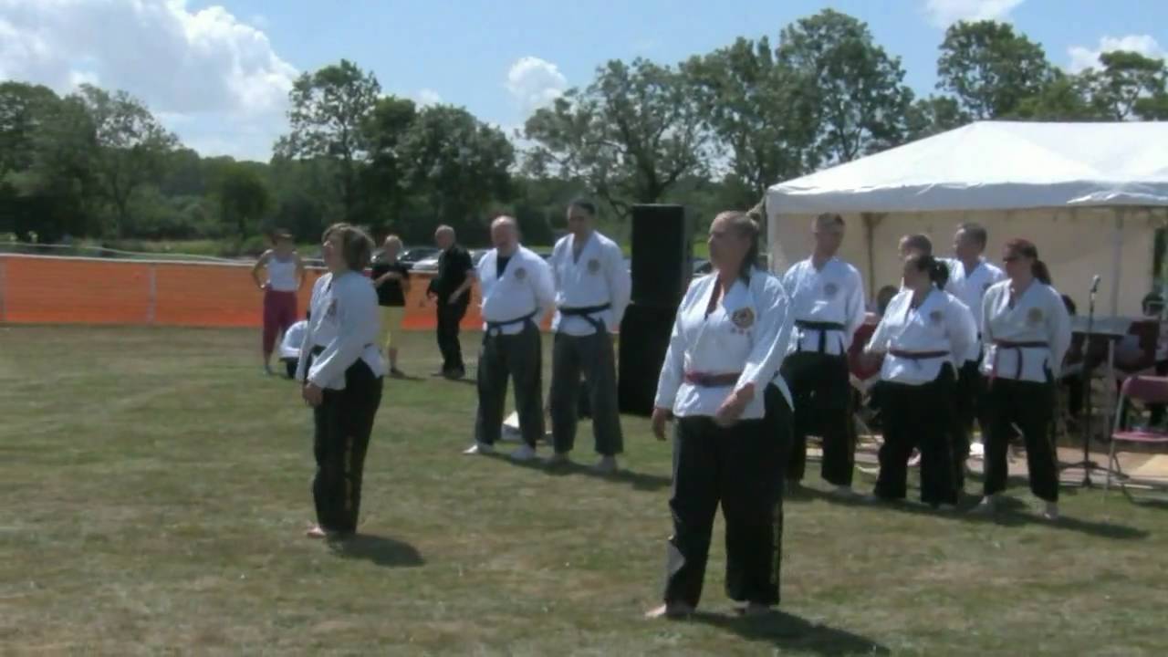 South West Wu Shu Kwan at Thornbury Carnival  2010 [part 1 of 2]