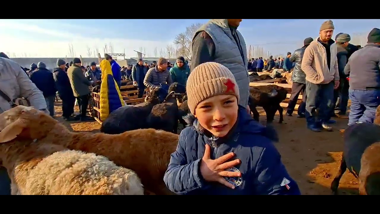 NAMANGAN UYCHI TUMAN YORQO'RG'ON XAYVON BOZORDAGI NARXLAR BILAN TANISHING.