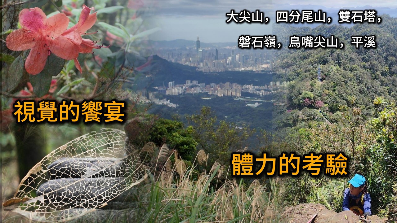視覺的饗宴 | 台北天際線第三段後半 | 大尖山，磐石嶺，鳥嘴尖 | Seize The Nature