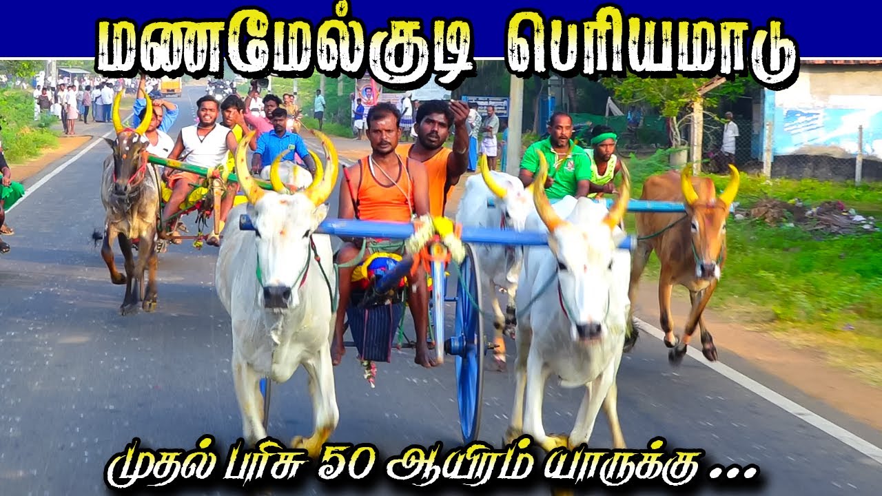 1புதுக்கோட்டை[மா]-மணமேல்குடி பந்தயம் -50-ஆயிரம் 07.02.2024