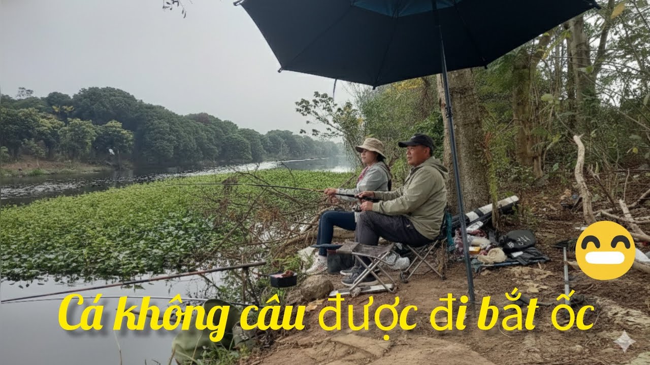 Câu cá không được bắt ốc về