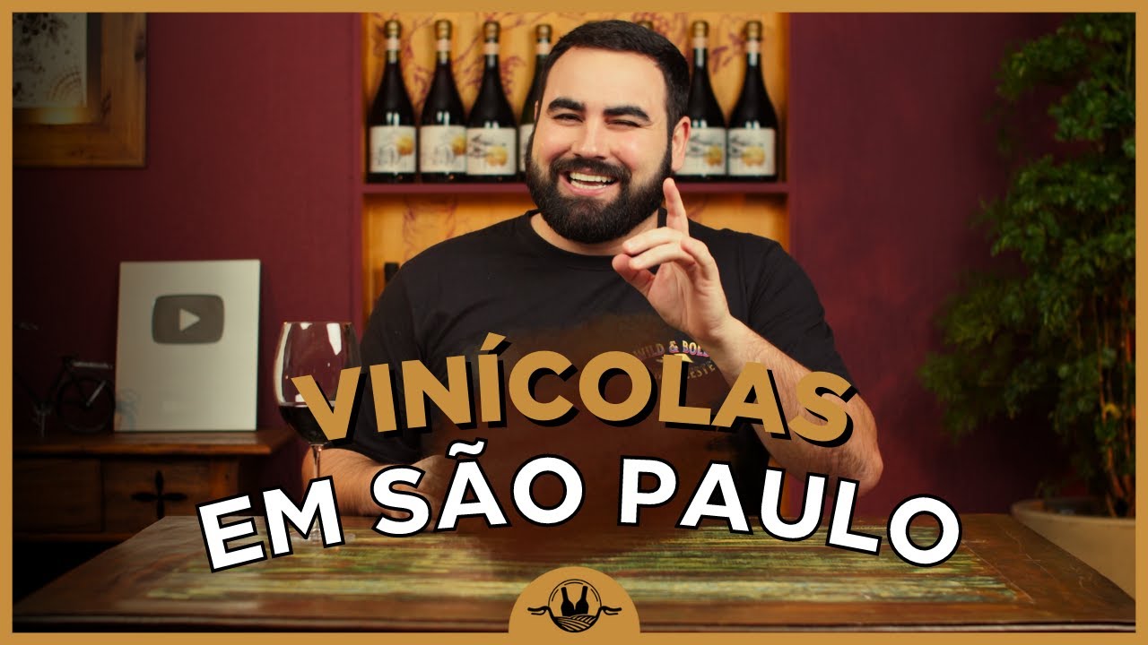 6 VINÍCOLAS PARA CONHECER EM SÃO PAULO