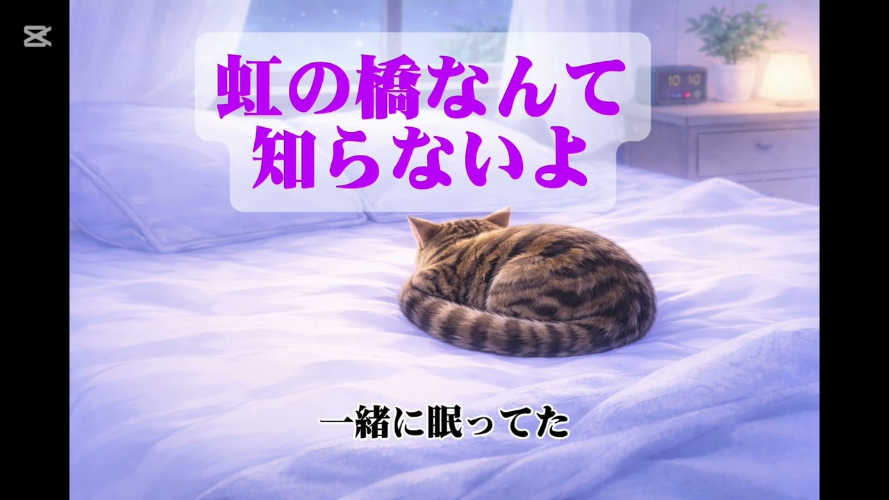 【虹の橋なんて知らないよ】ニャン吉くんと、見送った歴代のネコ達に捧ぐ#虹の橋 #cat #ペットロス 