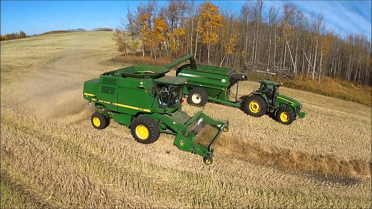 Canola Harvest 15
