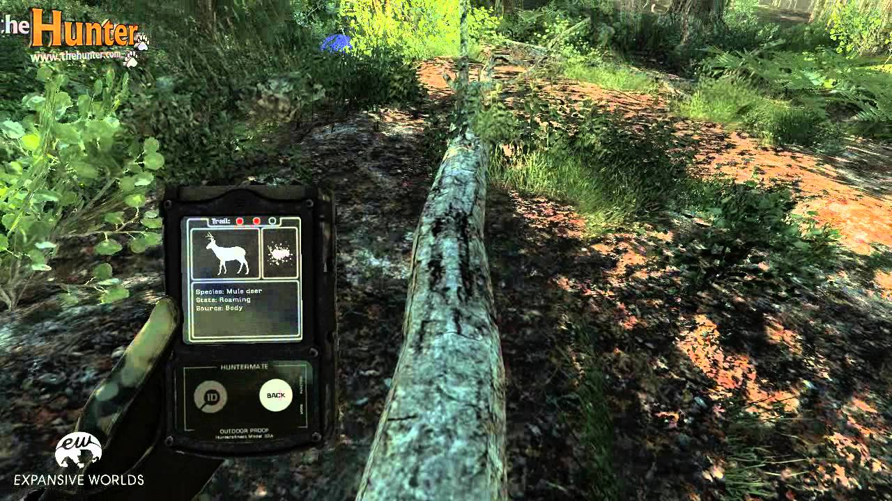 theHunter Mule Deer Tutorial (Short Version)