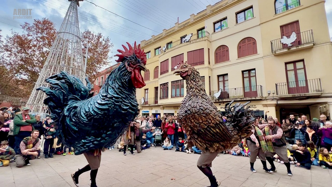 El Gall TOMASOT i La Gallina BALLARICA - XXVIIIa Mostra Bestiari Festiu de Ploma