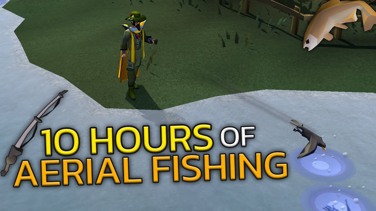 Loot From 10 Hours Of Aerial Fishing