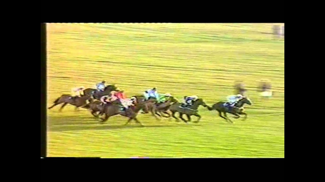 1982 Hennessy Cognac Gold Cup Bregawn Extended footage