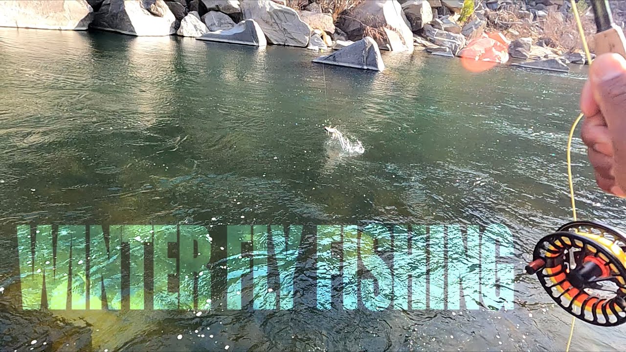 Northern California Winter Fly Fishing - Free Form Fly Fisher