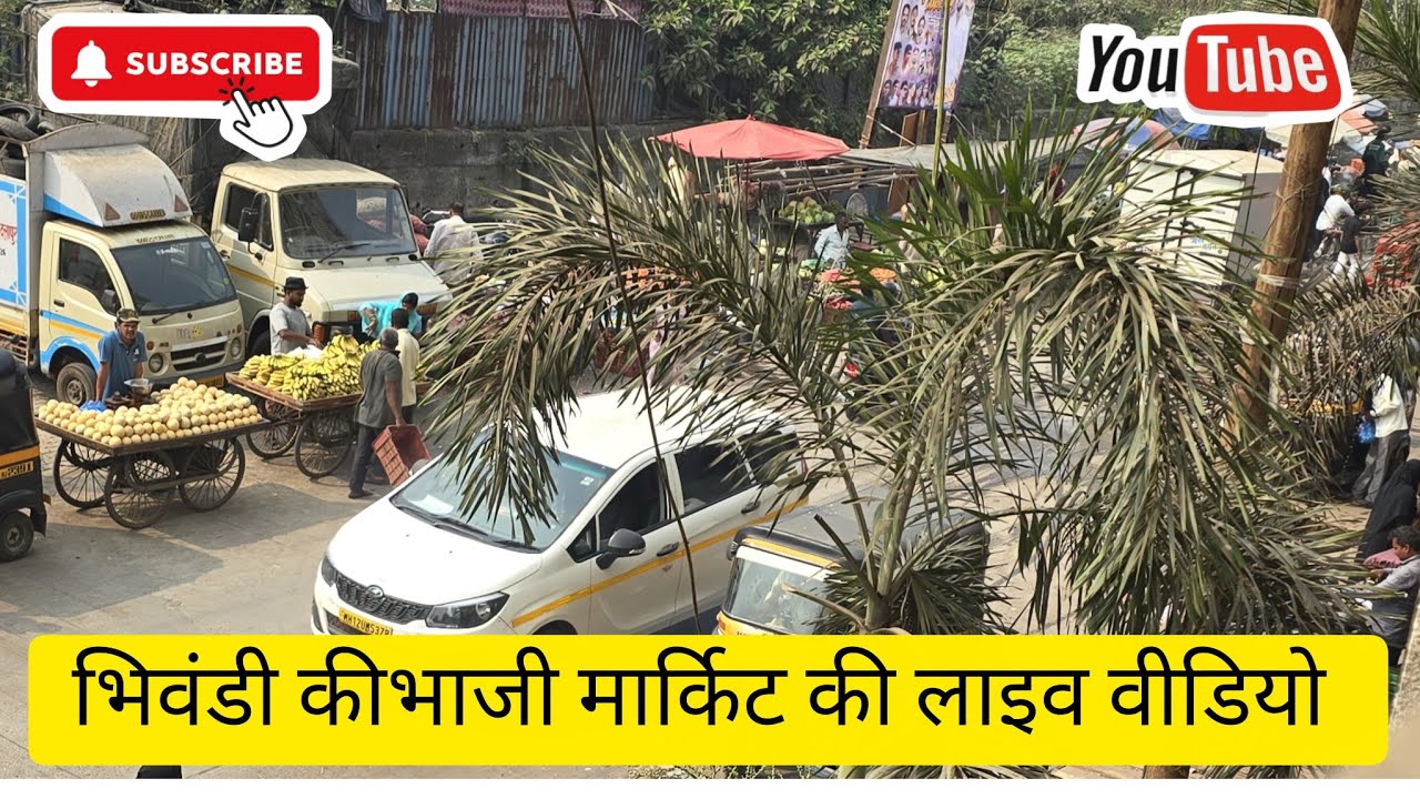 सुबह की लाइव वीडियो#viralphoto#viralnaatsharif #viralvideoviralpost #viralshortsreels#viralshortvid