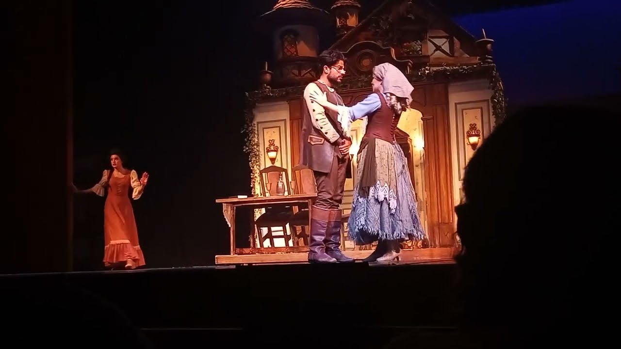 CINDERELLA O MUSICAL - Plano de Gabrielle (Thuany Parente)