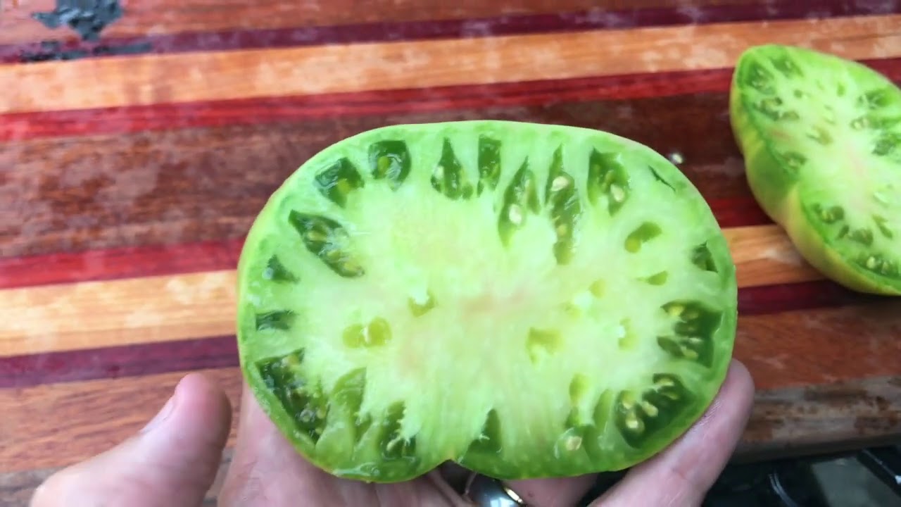 Variety Spotlight: Aunt Ruby's German Green Tomato