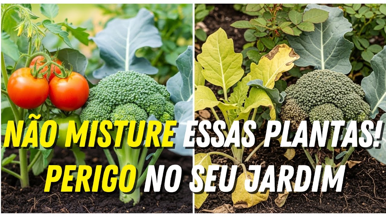 NUNCA plante estas 10 plantas JUNTAS (Elas VÃO se matar no seu jardim!)