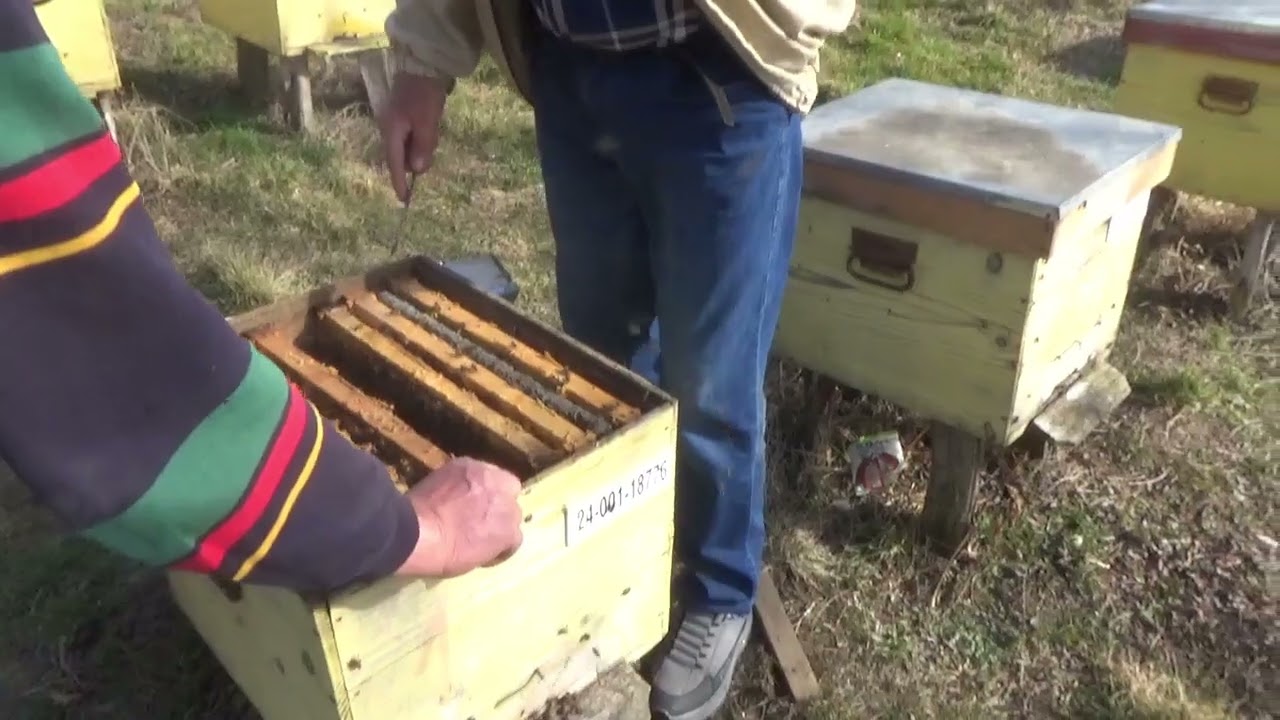 Молодые люди из Молдовы (Украина) посещают отца Илие.
