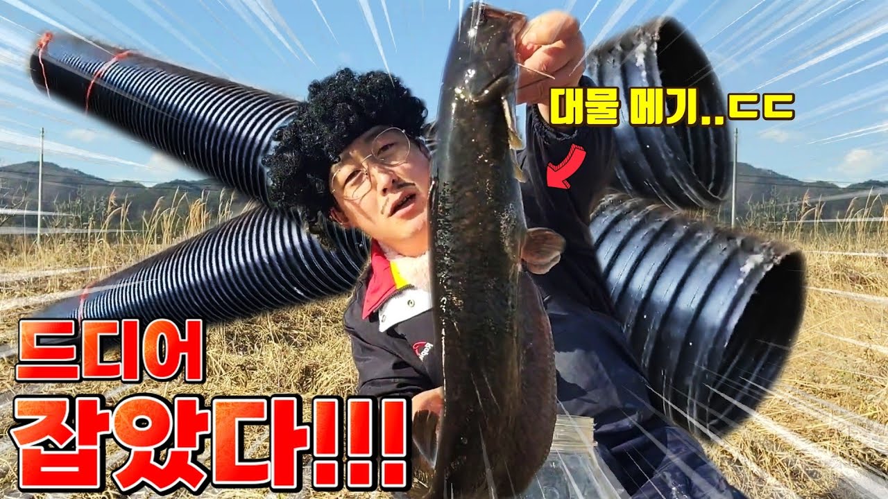 4개월 묵혀둔 자작통발에 드디어 대물고기가? 맛있게 요리해서 먹어보자