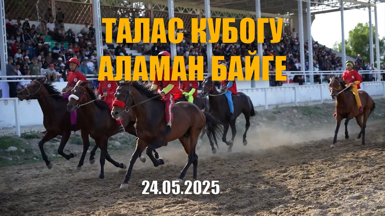 Талас кубогу 2025 Аламан байге