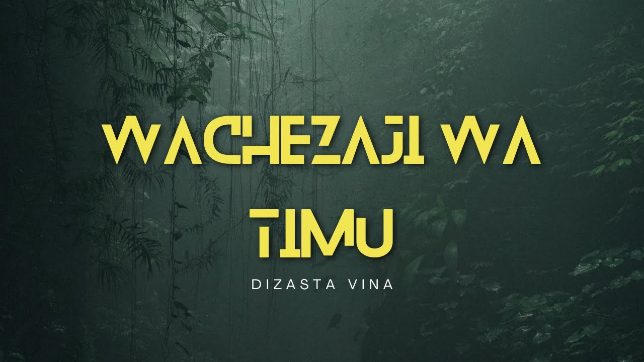 Dizasta Vina - Wachezaji wa timu