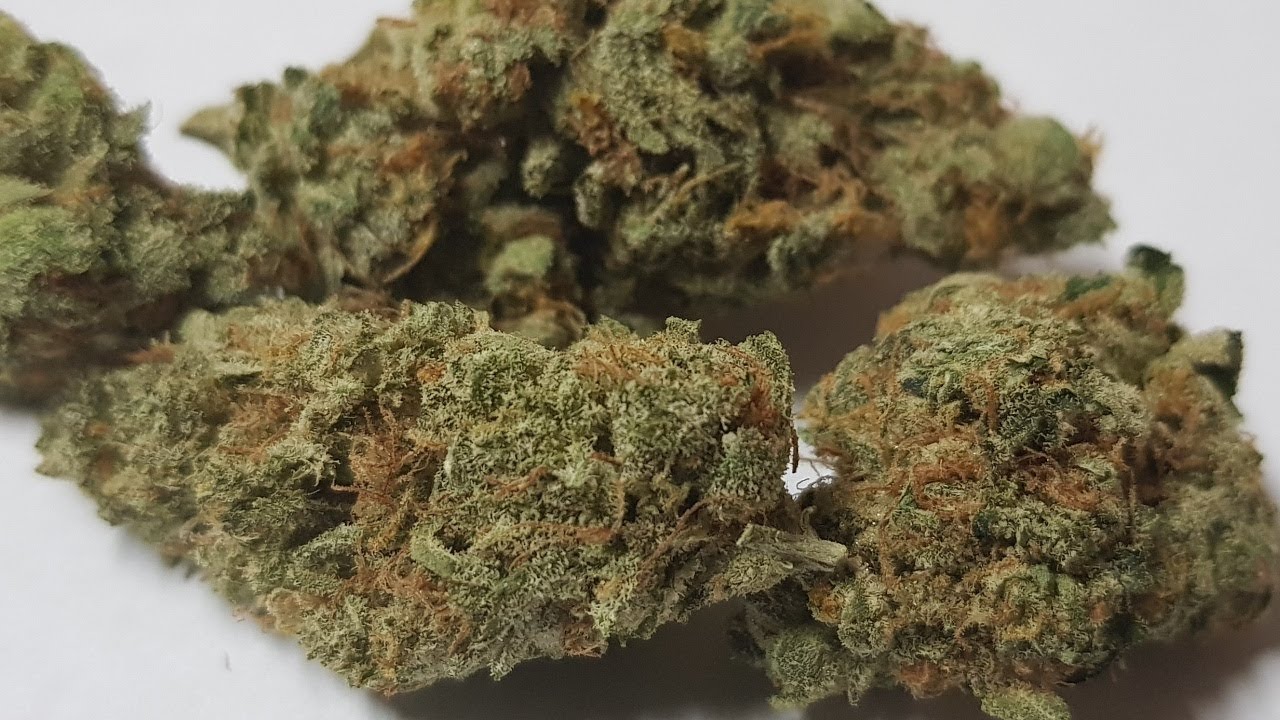 AGENT ORANGE STRAIN REVIEW !!