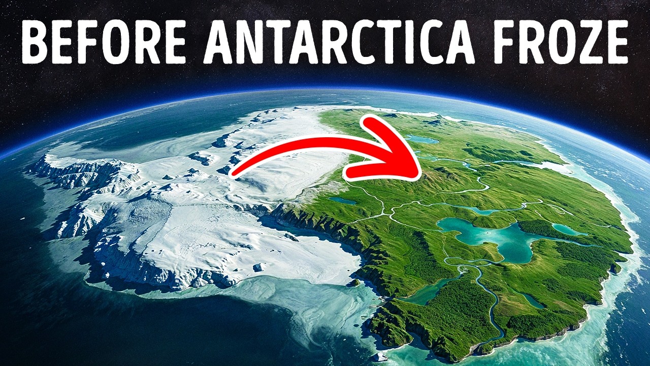 Researchers Found a Lost Rainforest Buried Beneath Antarctica