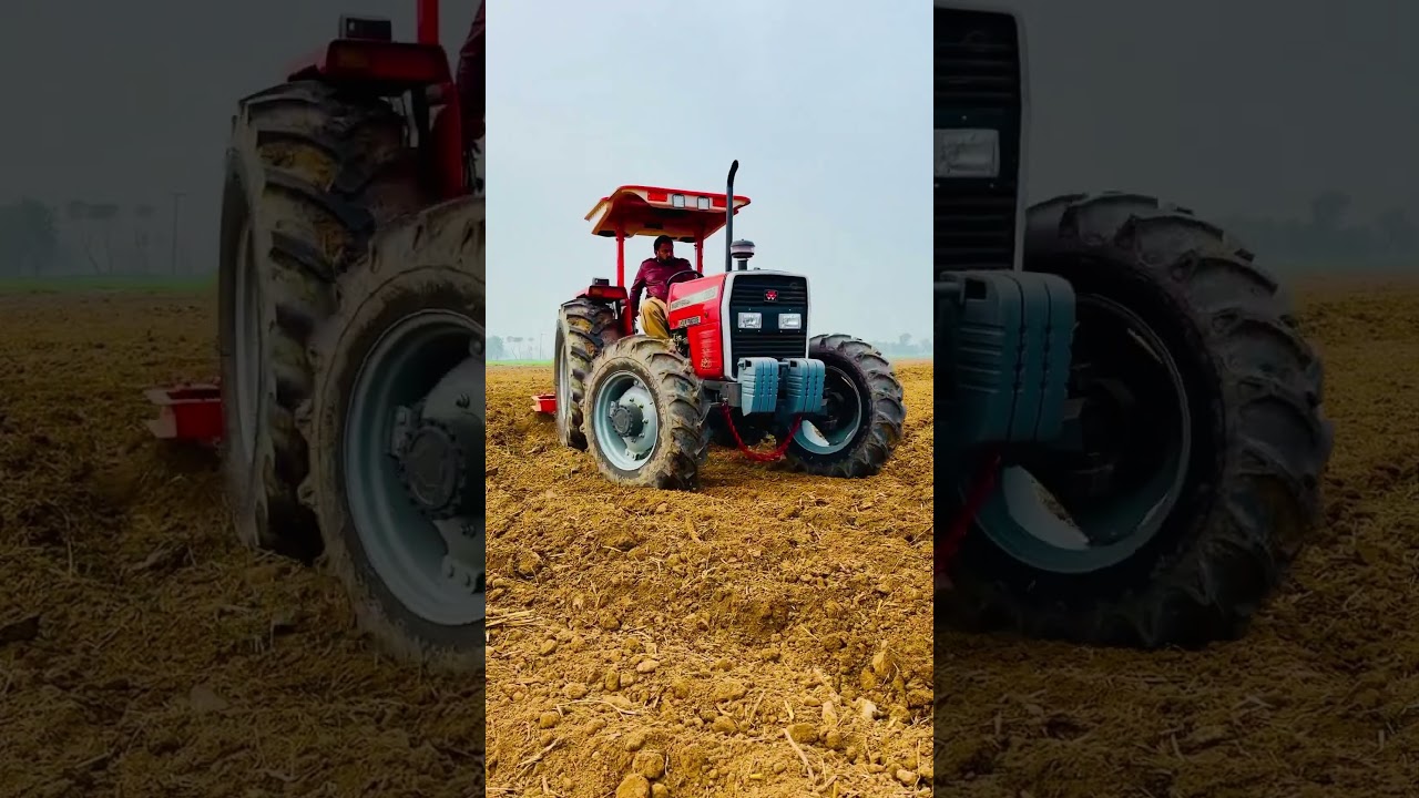 mf 385 4x4 | powerfull performance of mf 385 4 by 4 | tractor with chisel @PunjabTractors